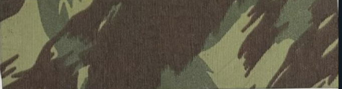 Imagem Paletas de Cores